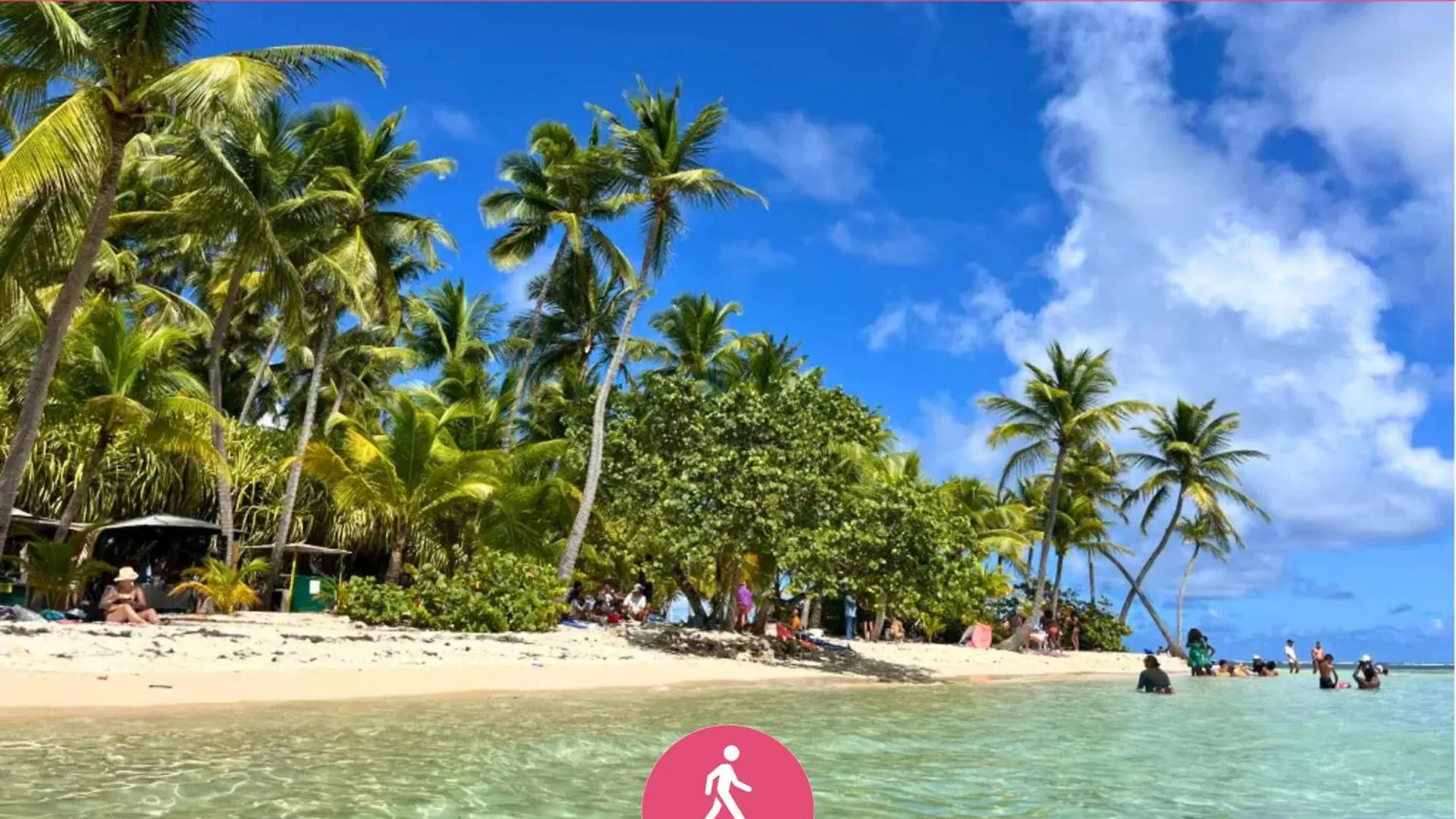 Le Sable Bleu - Evasion Tropicale A Sainte-Anne - Plage 5Min - Piscine - Parking - Logement Climatise - Vue Sur Les Palmiers - Parfait Pour Sejours En Famille Ou Entre Amis Appartement